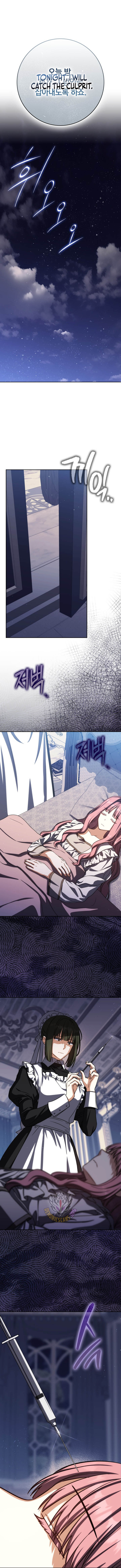 The Reincarnated Assassin is a Genius Swordsman Chapter 94 9